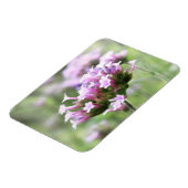 Magnet Flexible Verbena Bonariensis (Côté Gauche)