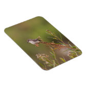 Magnet Flexible Vermilion Flycatcher (Côté Droit)