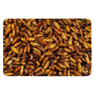 Magnet Flexible Vers de soie frits ... Restauration de rue Thaï