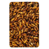 Magnet Flexible Vers de soie frits ... Thai Street Food (Vertical)