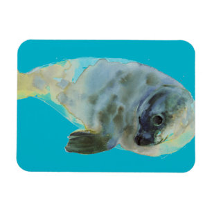 Magnet Flexible Vert d'Aqua