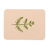 Magnet Flexible vert de printemps (Horizontal)