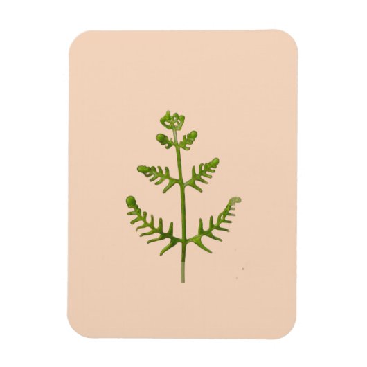 Magnet Flexible vert de printemps (Vertical)