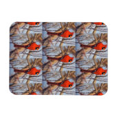 Magnet Flexible Vibrant Red ardinal Bird Perched on Branch  (Horizontal)