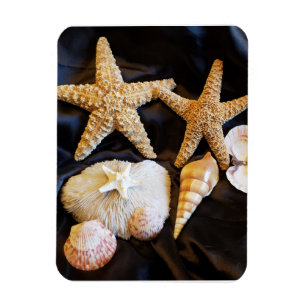 Magnet Flexible vie marine de coquillages d'étoiles de mer