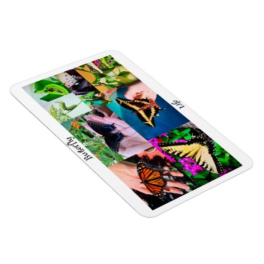 Magnet Flexible Vie papillon (Côté Droit)