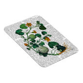 Magnet Flexible Vigne de squash 2 (Côté Droit)