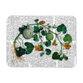 Magnet Flexible Vigne de squash 2 (Horizontal)