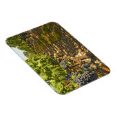 Magnet Flexible vignes de Cabernet Sauvignon alignées dans le (Côté Droit)