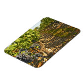 Magnet Flexible vignes de Cabernet Sauvignon alignées dans le (Côté Gauche)