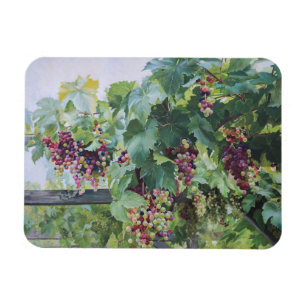 Magnet Flexible Vignoble de la Vallée de la Loire – Peinture de Ra
