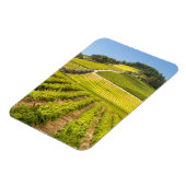 Magnet Flexible Vignoble, Stellenbosch, Cap-Occidental (Côté Gauche)