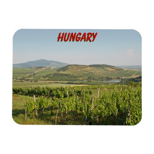 Magnet Flexible Vignobles de Tokaj, Hongrie (Horizontal)