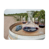 Vin Rouge Dans Le Vignoble