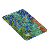 Magnet Flexible Vincent Van Gogh - Iris (Côté Droit)