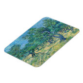 Magnet Flexible Vincent van Gogh - Olive Grove (Côté Gauche)