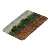 Magnet Flexible Vincent van Gogh - Olive Grove (Côté Gauche)