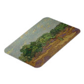 Magnet Flexible Vincent van Gogh - Olive Trees (Côté Gauche)