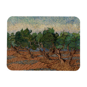 Magnet Flexible Vincent van Gogh - Oliveraie