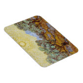 Magnet Flexible Vincent van Gogh | Oliviers, 1889 (Côté Droit)