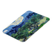 Magnet Flexible Vincent van Gogh - Oliviers aux Alpilles (Côté Gauche)