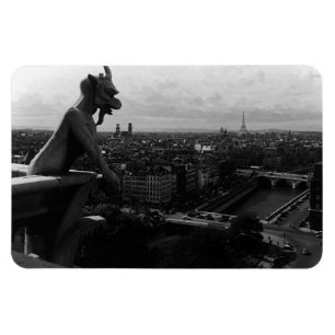 Magnet Flexible Vintage France Paris Cathédrale Notre Dame diable