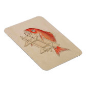 Magnet Flexible Vintage poisson rouge Yokai (Côté Droit)