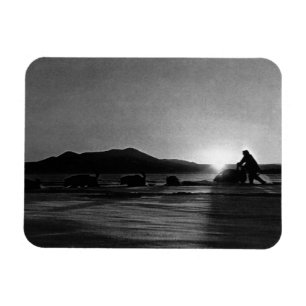 Magnet Flexible Vintage USA Alaska Midnight sun mushing 1970