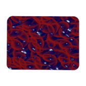 Magnet Flexible Vinyl Laminé Berrythrocyte (Horizontal)