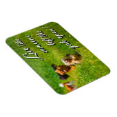 Magnet Flexible Vis comme quelqu'un a laissé la porte ouverte! (Côté Droit)