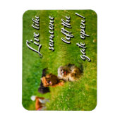 Magnet Flexible Vis comme quelqu'un a laissé la porte ouverte! (Vertical)