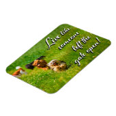 Magnet Flexible Vis comme quelqu'un a laissé la porte ouverte! (Côté Gauche)