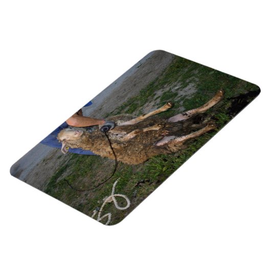 Magnet Flexible Vis du mouton (Côté Gauche)