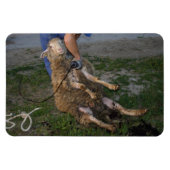 Magnet Flexible Vis du mouton (Horizontal)