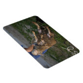 Magnet Flexible Vis du mouton (Côté Droit)