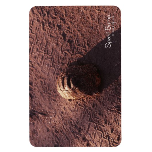 Magnet Flexible Vitesse (Vertical)