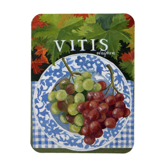 Magnet Flexible Vitus (Vertical)