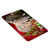 Magnet Flexible Voeux de Noël éléphant (Côté Droit)
