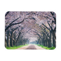 Voie Cherry Blossom