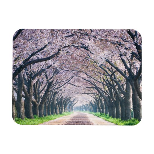 Magnet Flexible Voie Cherry Blossom (Horizontal)