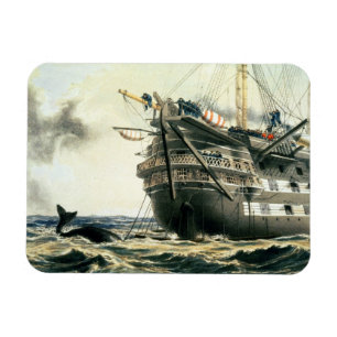 Magnet Flexible voie HMP Agamemnon étendant le câble atlantique