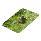 Magnet Flexible Voir l'écureuil magnétique flexible (Côté Gauche)