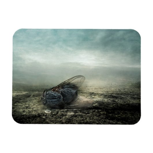 Magnet Flexible Vol 2013 (Horizontal)