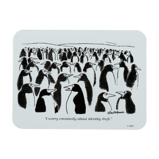 Magnet Flexible Vol d'identité (Horizontal)