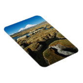 Magnet Flexible Volcans Payachalas (Côté Droit)