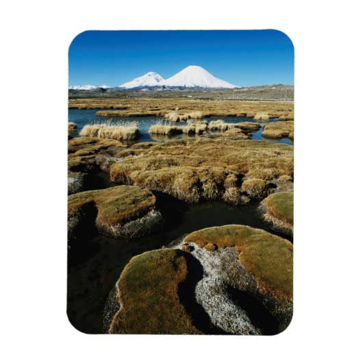 Magnet Flexible Volcans Payachalas (Vertical)