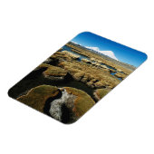 Magnet Flexible Volcans Payachalas (Côté Gauche)