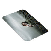 Magnet Flexible voleur de tulipe 2 2013 (Côté Droit)