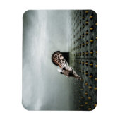 Magnet Flexible voleur de tulipe 2 2013 (Vertical)