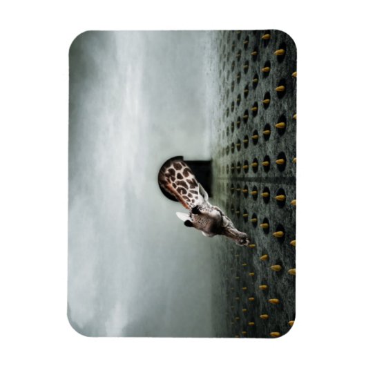 Magnet Flexible voleur de tulipe 2 2013 (Vertical)